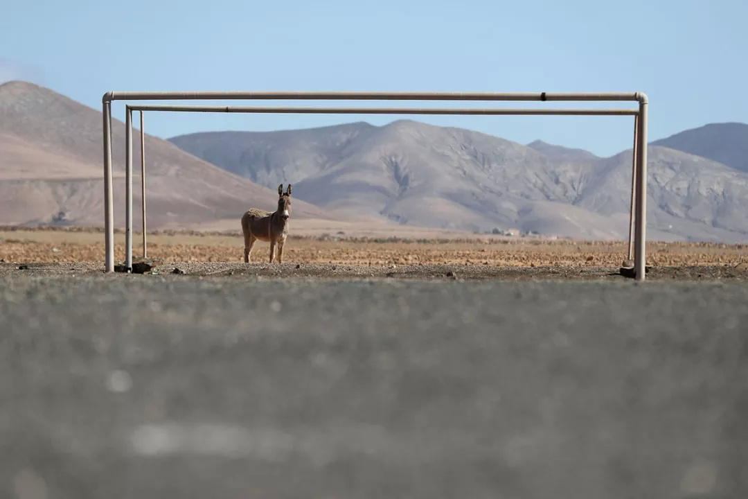 足球场奇葩位置,足球场奇葩系列