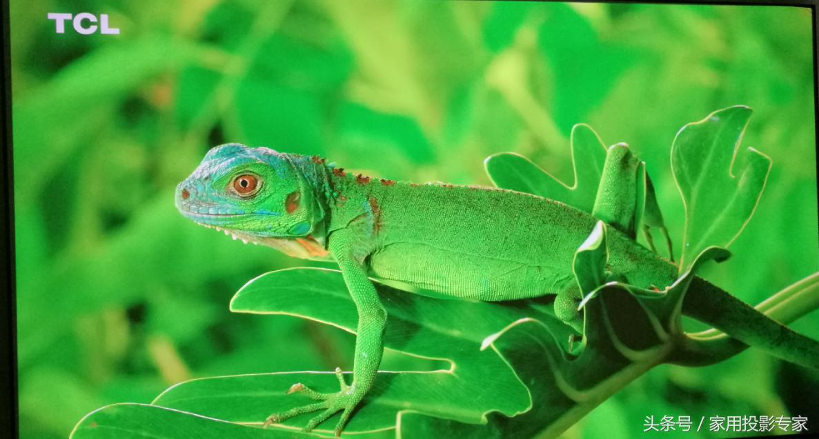 奥图码投影机怎么选择,奥图码i5投影仪缺点