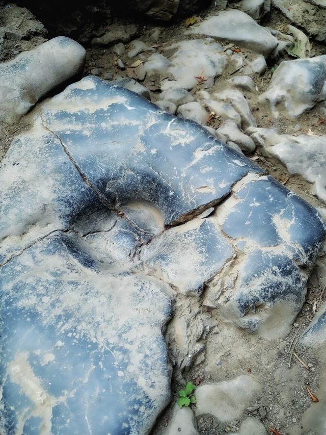 强迫症需要花费多少钱,强迫症治疗一年需要多少钱