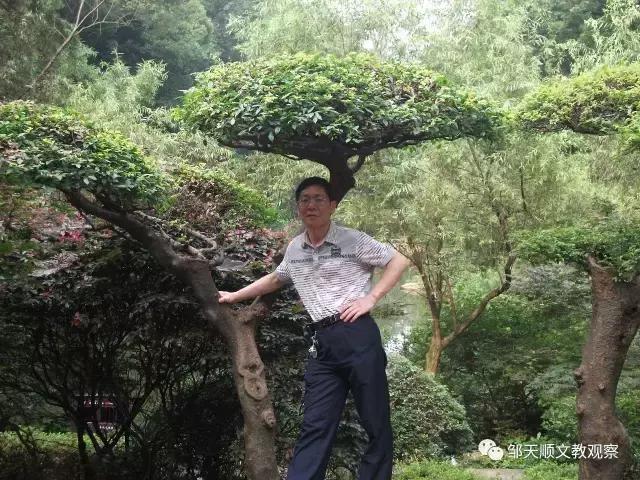 勤于耕耘,甘于平淡的语文特级教师——杨华当