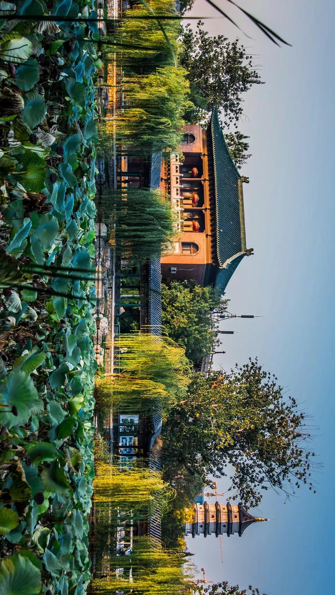 天津人的特点和天津文化的关系,对天津人是有怎样的感悟