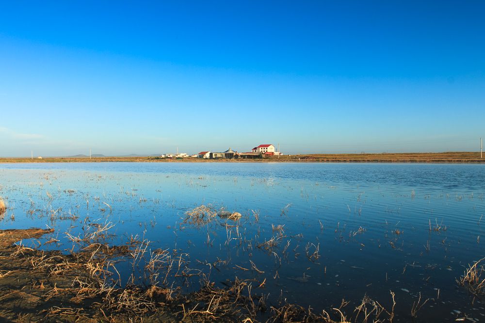 内蒙诺尔湖旅游,内蒙达里诺尔湖