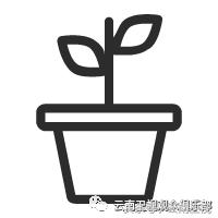 “心有力量歌声响亮”益安宁丸杯第二届云南省合唱大赛复赛预告