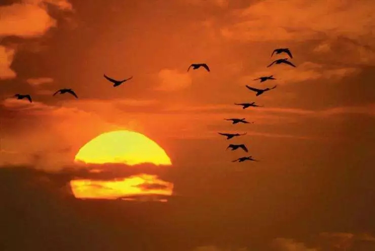 史上最难解的宋词，该怎么读？