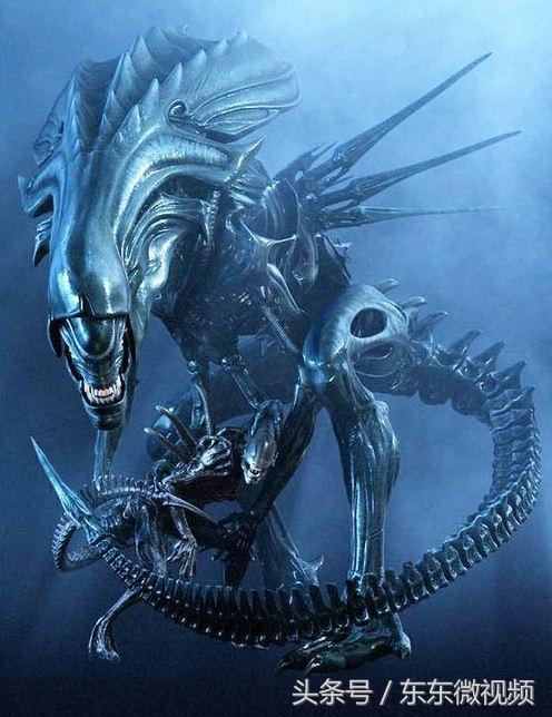 异形大战铁血战士进化史,异形起源异形进化史