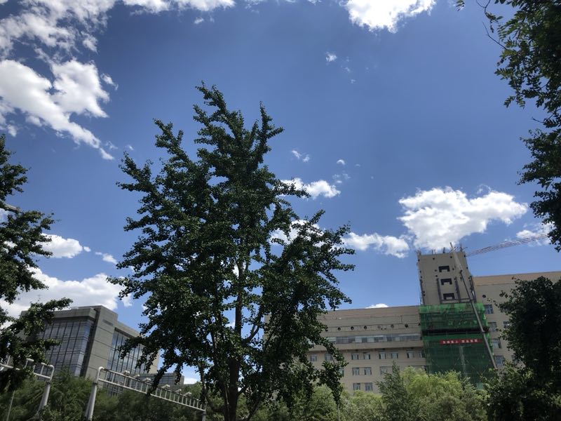 蓝天白云下的北京视频,蓝天白云下的大北京