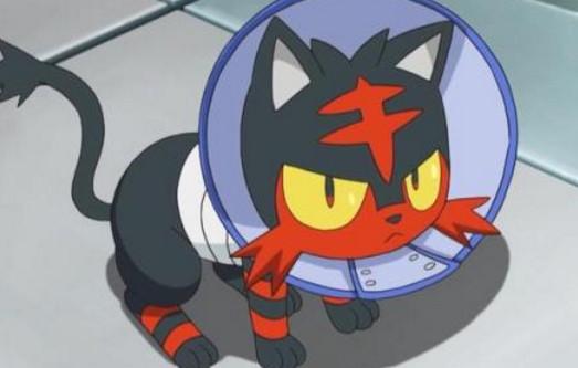 宝可梦朱紫dlc历代御三家怎么进化,精灵觉醒历代御三家