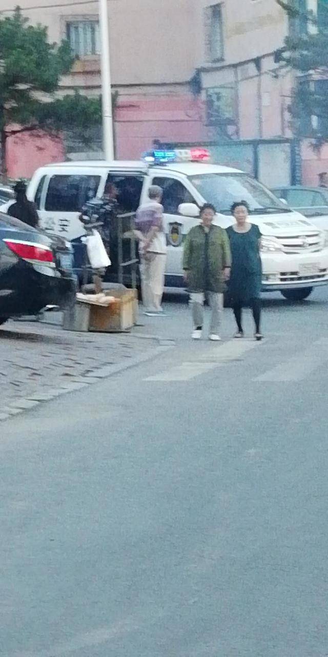 本溪路边发现蛇,本溪蛇事件