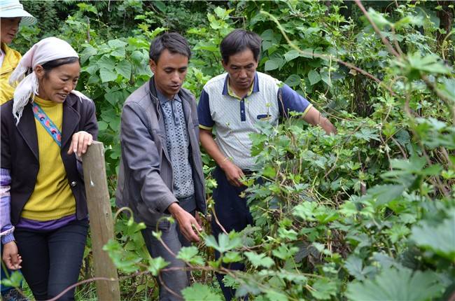 现代农业园特点优势,现代农业的发展现状及前景