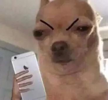 千万别用这10款app,后悔没有早点下载的10款app