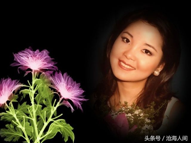 听邓丽君的歌被判刑,听邓丽君的歌感受岁月的甜美