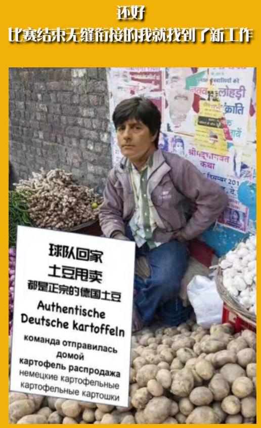 世界杯足球场草皮是真是假,为什么足球场草坪颜色不一样