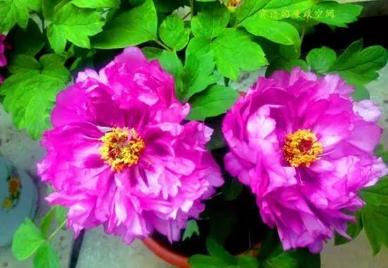 山东17地级市介绍,山东省17个地级市名称列表