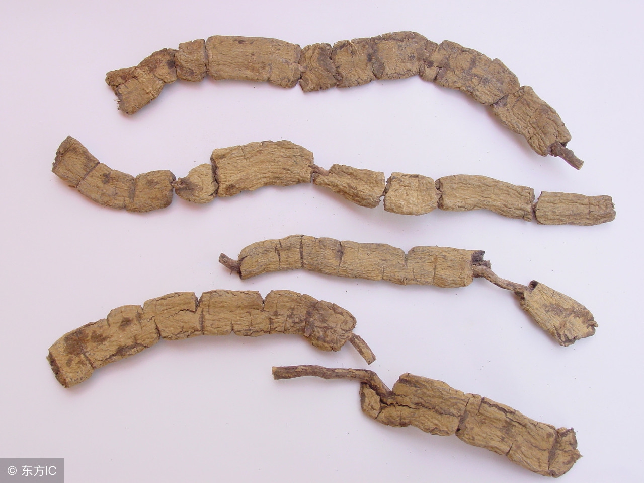 补阳药有哪些中药材,中药学补阳药