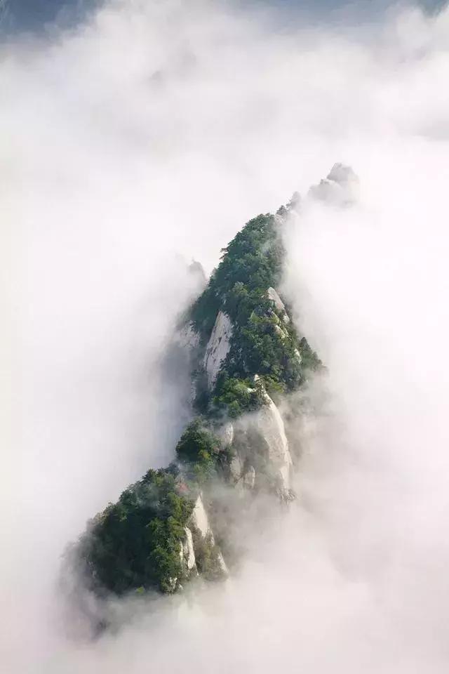 华山门票优惠政策官网网址,华山门票价格政策最新规定