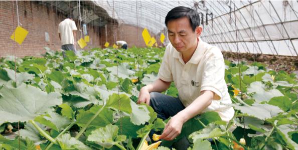 农村农业种植业哪种能赚钱,2021年十大农业赚钱模式盘点