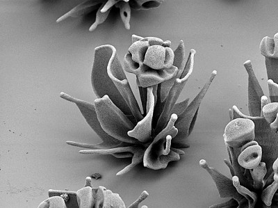 纳米技术是改变原子的结构吗,纳米科技重塑生活