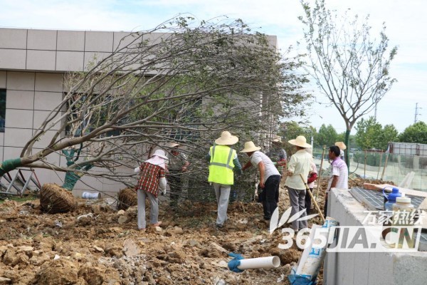 合肥海伦城市广场,合肥海伦广场最新消息