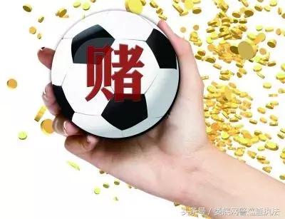 网警提醒世界杯来了请文明观赛,网警提醒警惕的情况