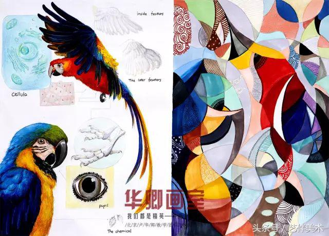 华卿画室北京高考集训多少钱,北京华卿画室优惠团购