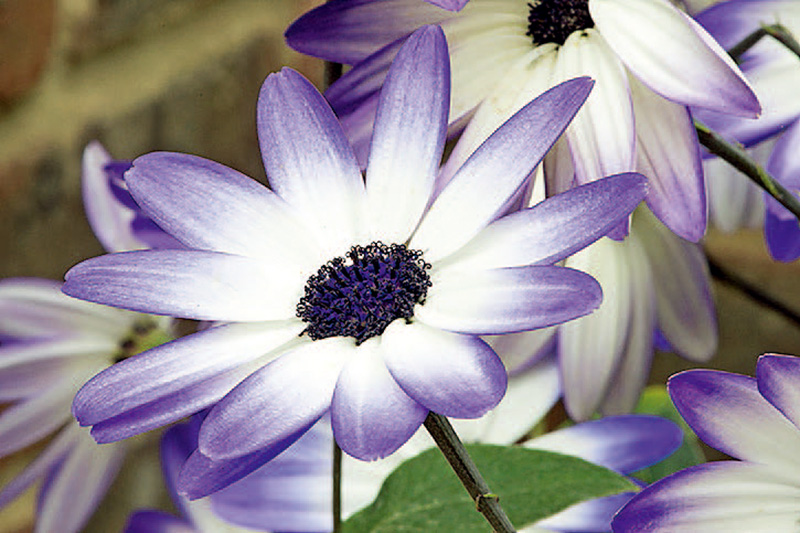 单反相机快速入门,单反相机入门购买