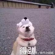 压箱底软件推荐,24款国家出品的神仙宝藏app