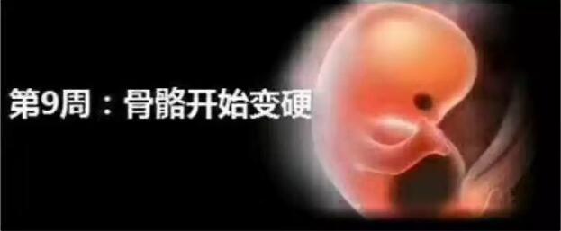 养出漂亮宝宝,养出聪明娃的技巧