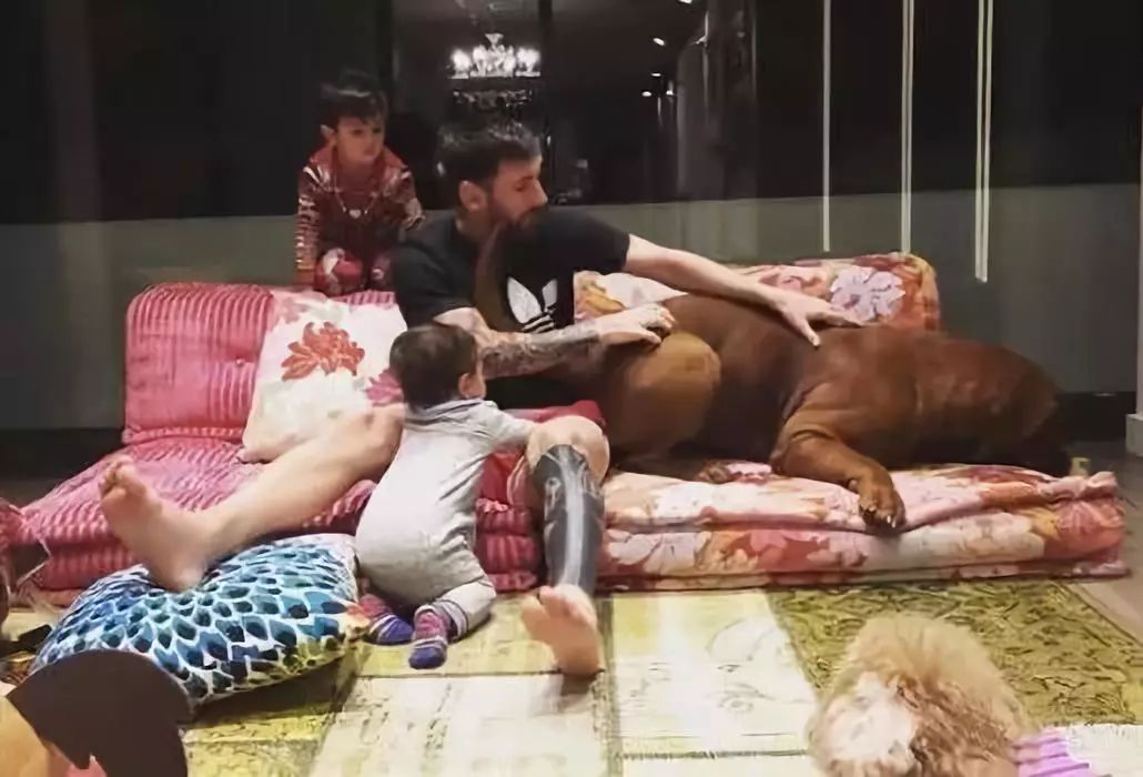 梅西c罗内马尔豪宅,c罗梅西豪宅