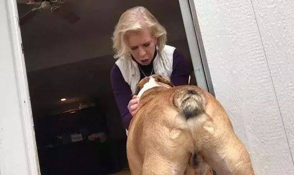 狗狗绝育了基础病就少了吗,绝育狗狗会有什么影响