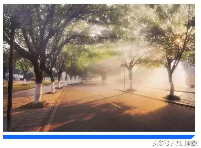 四川有交通类的大专,四川公办交通类大专院校