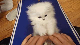 当男朋友很喜欢黏你,当你的男朋友很黏你时