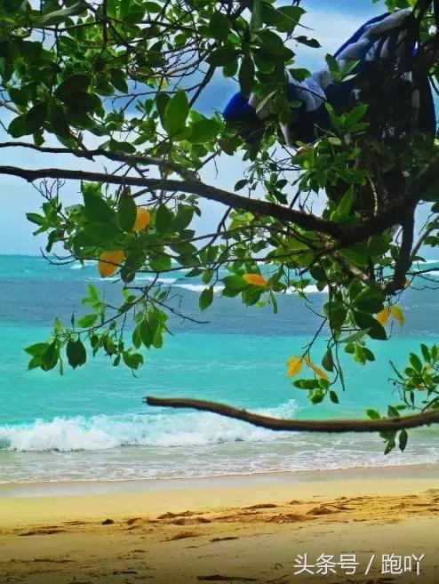 世界杯进球最多的国家是哪国,世界杯进球最多的国家是哪个国家