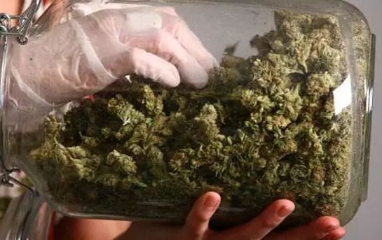 飞叶子是什么感觉？*麻大**有什么危害？