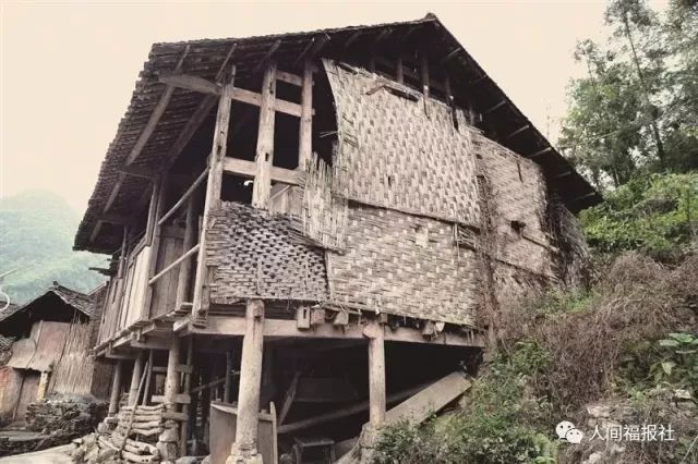 麻雀变凤凰台湾,麻雀变凤凰台湾版