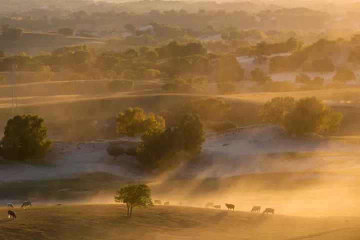 尼康d800搭配尼康24-120效果怎么样,尼康d800自身携带的拍摄风格