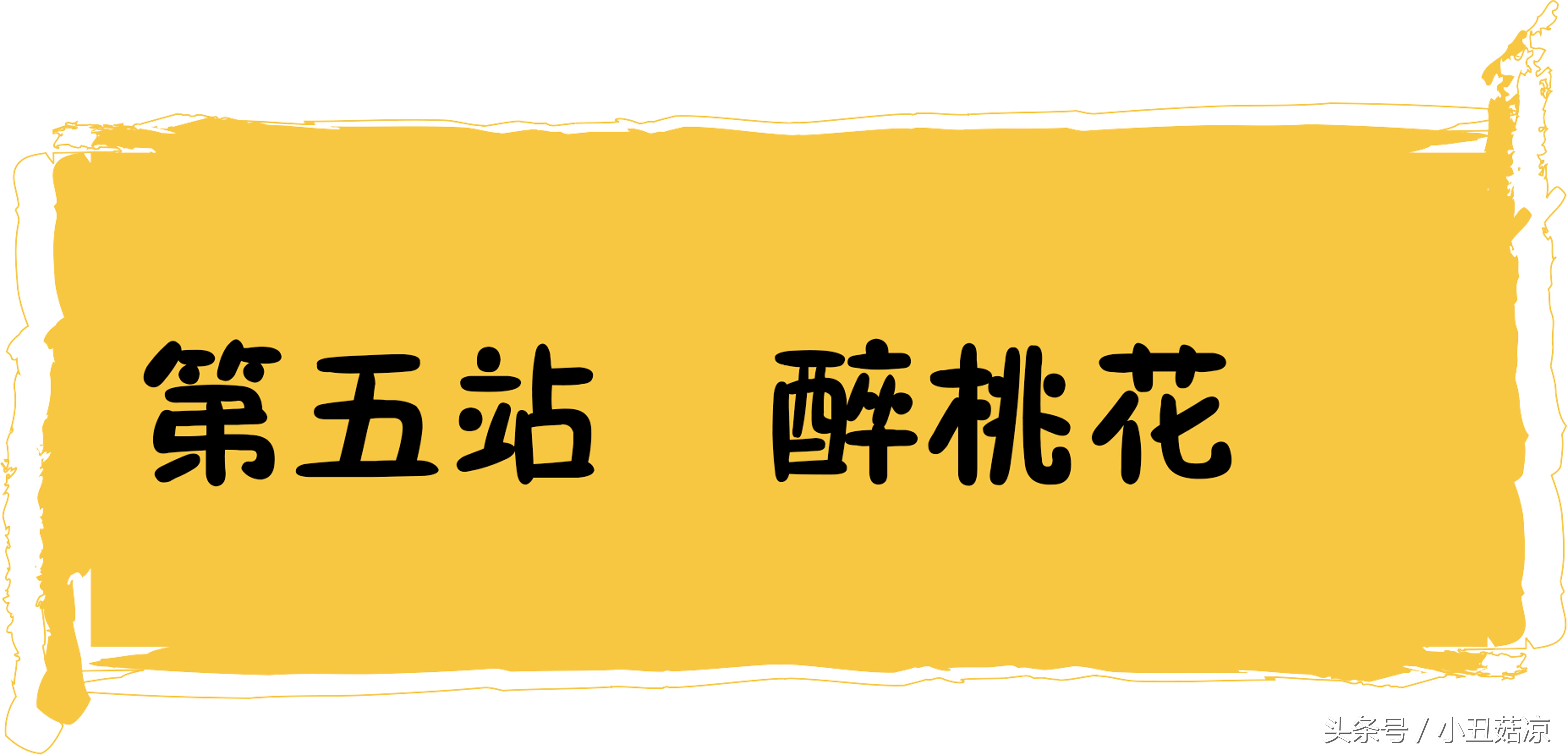 世界杯深圳看球的好地方有哪些,世界杯看球赛最好的地方