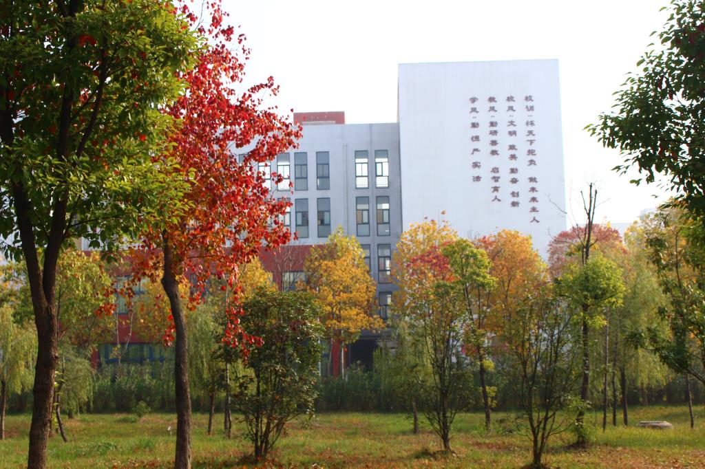 这是一个简单的填空题,填空什么的教室