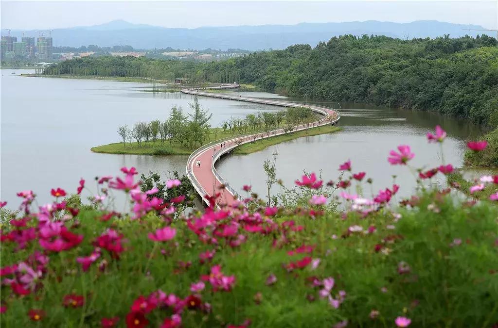 你熟悉的成都“四美”已经变成“五美”了，你知道那是什么吗？