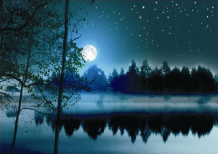 七绝月夜吟诗句,诗词原创月夜