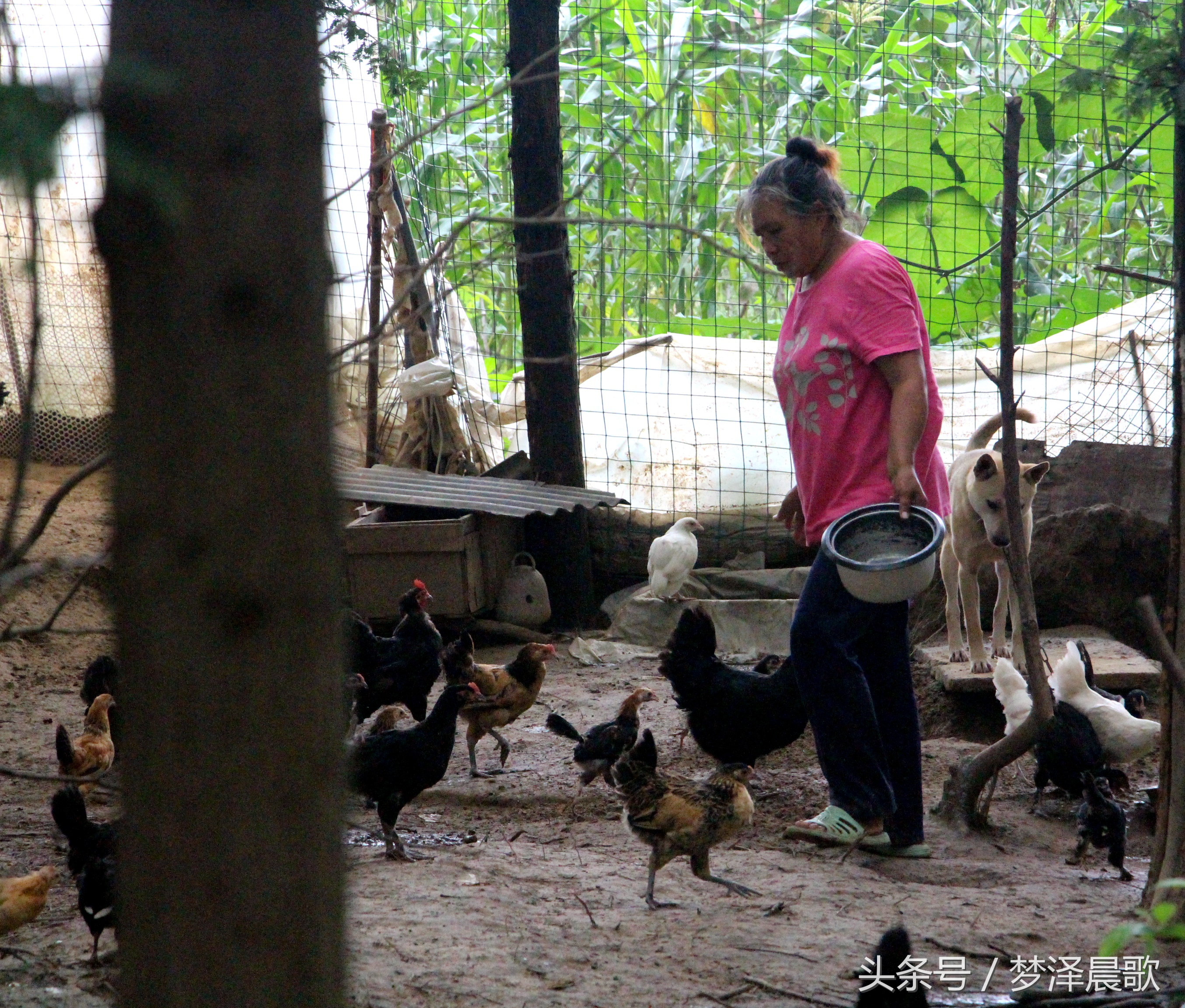 带你吃遍奉节的美食,重庆奉节县特色美食做法
