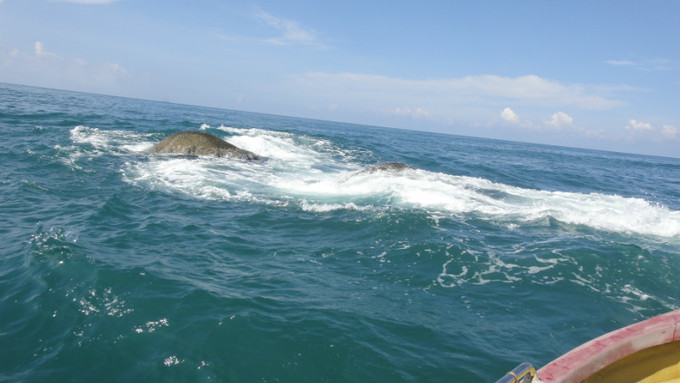 sanya天之涯，海之角我们来了