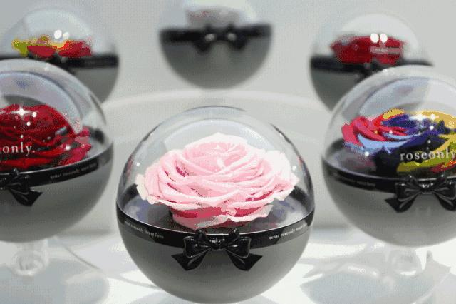 roseonly香港官网,roseonly重庆专柜