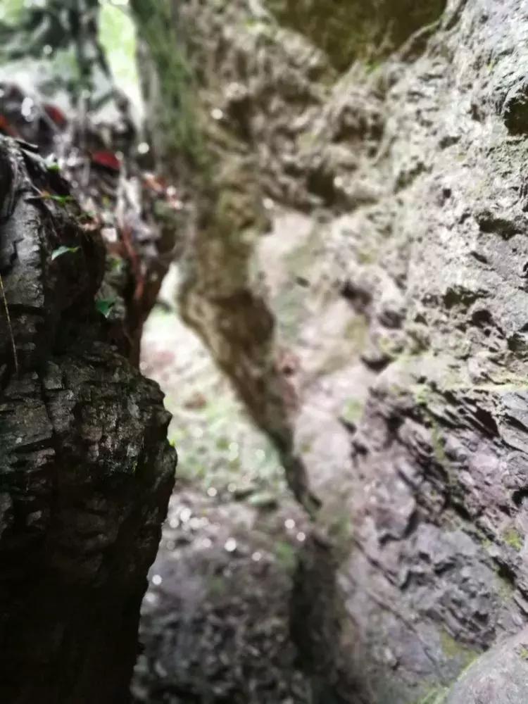 悠悠古道忆乡愁,悠悠古道