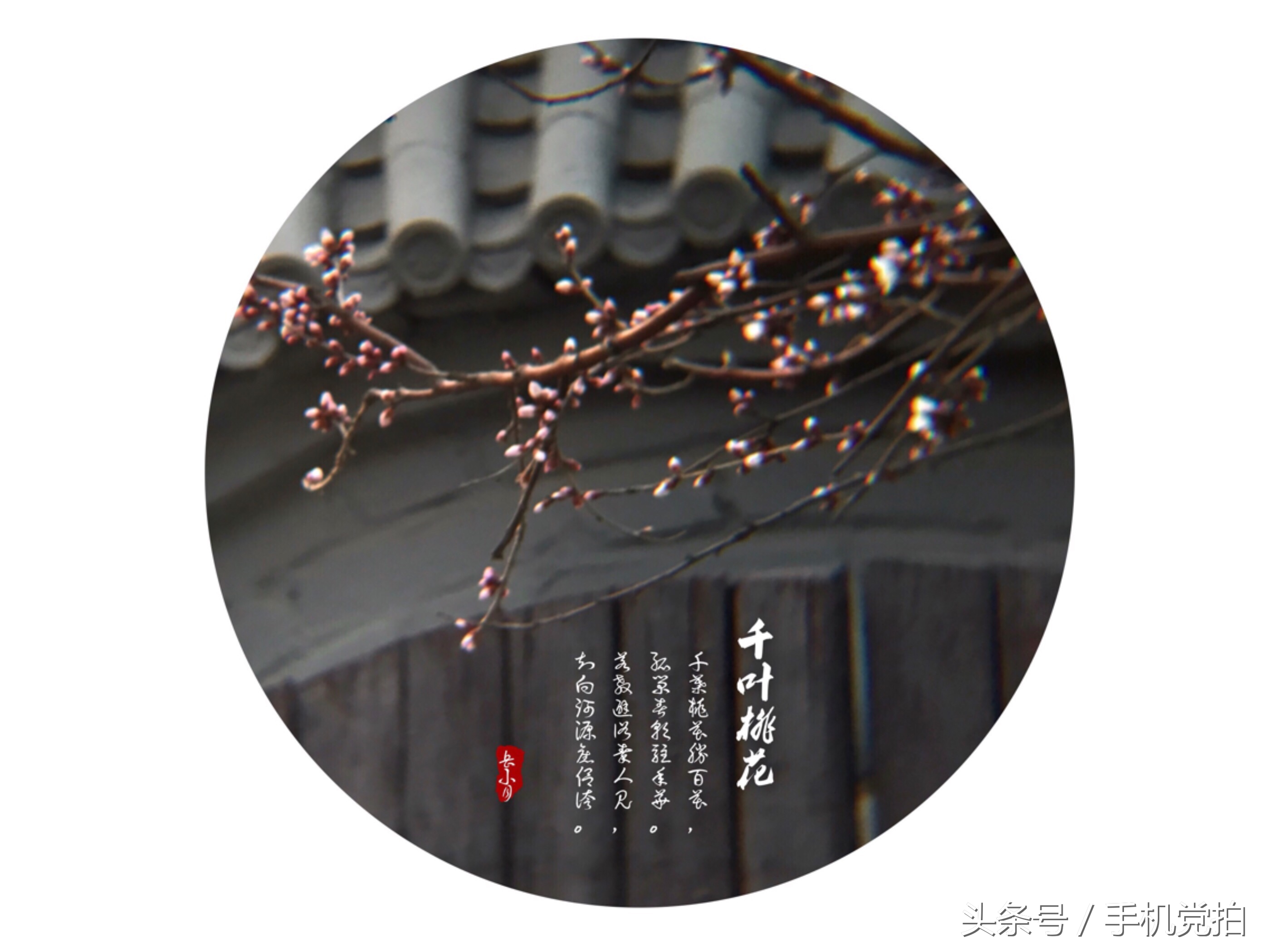 如何把图片制作成印章,手机拍照制作电子版印章