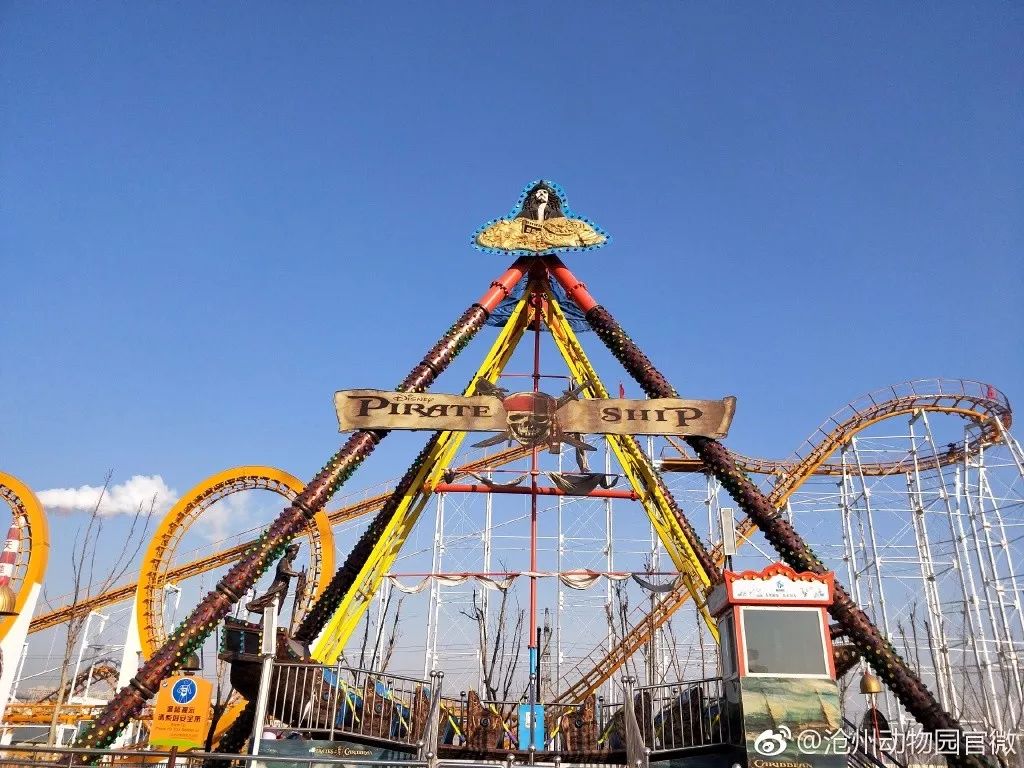 夜场游乐园24小时营业,园博游乐园夜场门票