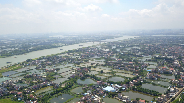 日式吃生鱼片是什么感受,日本料理中常见的生鱼片有哪些