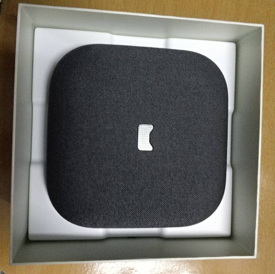 魔盒猫咪,猫精和鲤鱼精