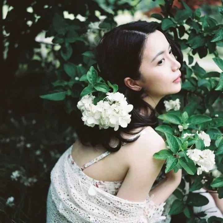 小说丁香,小说丁香花在线阅读