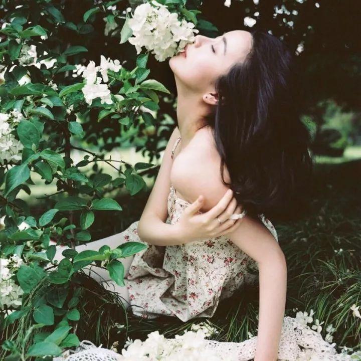 小说丁香花菩提树全文免费,小说丁香花结局