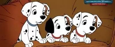 各国网友吐槽美国养大熊猫,国外养熊猫有多受欢迎